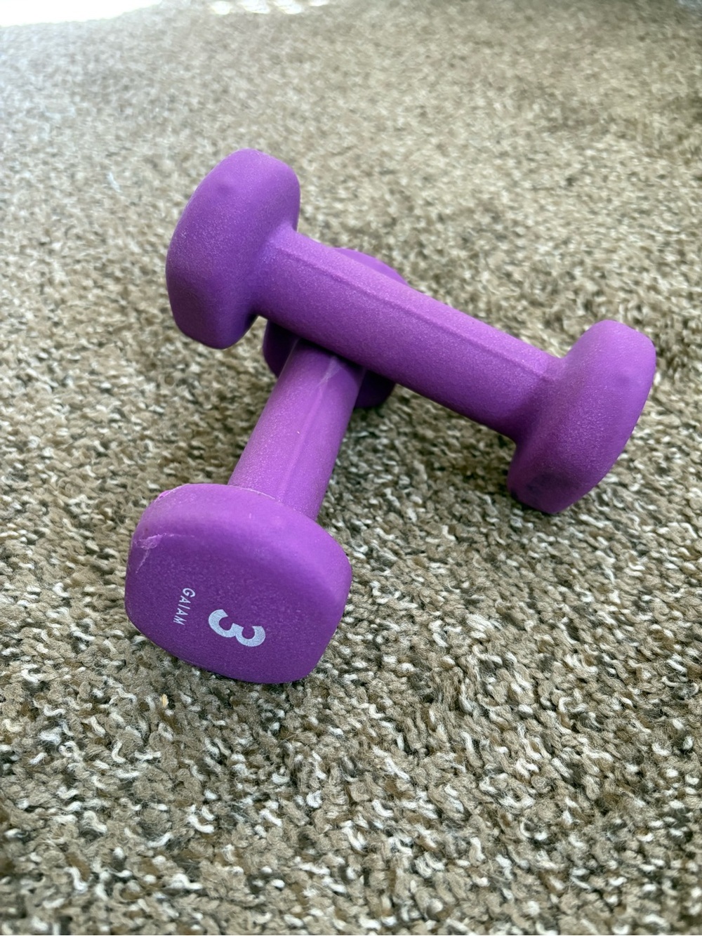 Purple 3 lb Dumbbell Pair